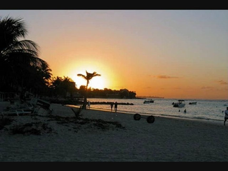 reviens vite et  oublie