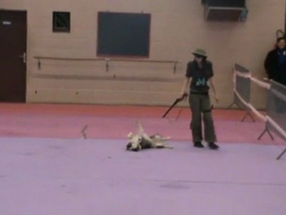 L'explorateur - Arteis - St Germain des Bois - Passage 1