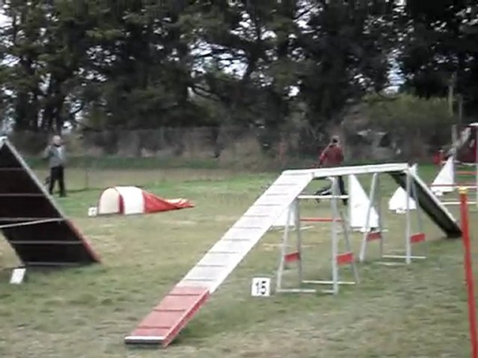gpf brownie saint sat