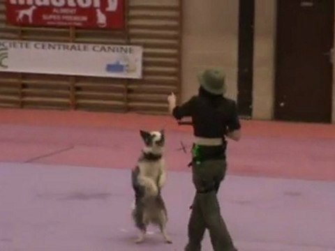 L'explorateur - Arteis - St Germain des Bois - Passage 2