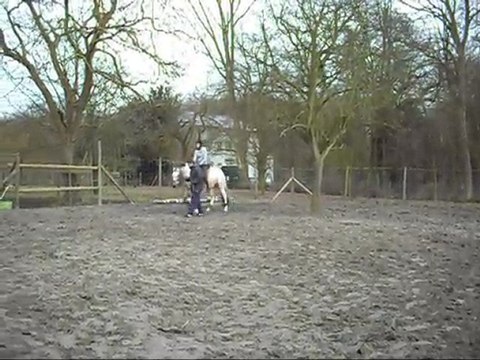 débourrage taigan_0001