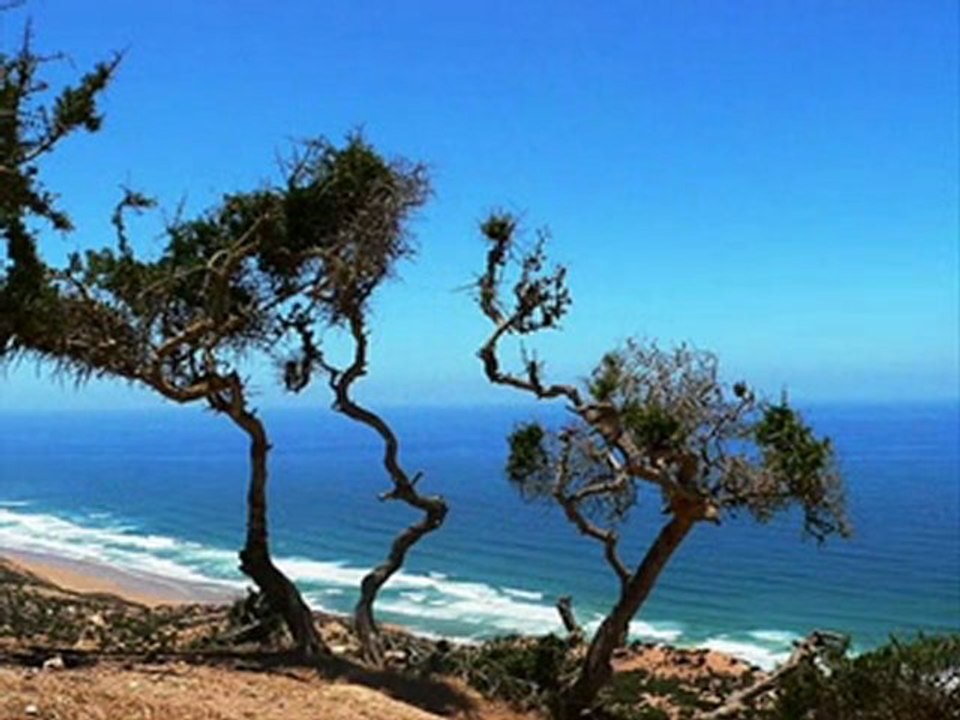 Seashore Pictures [Seashore Picture]