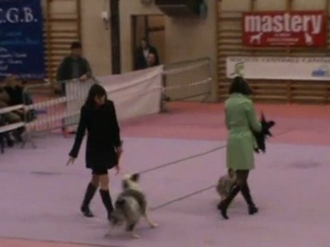 Dansons sous la pluie - Eden et Arteis - Passage 2