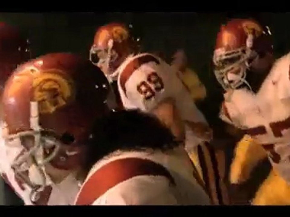 Nike Football "Fate" Leave Nothing LT Polamalu