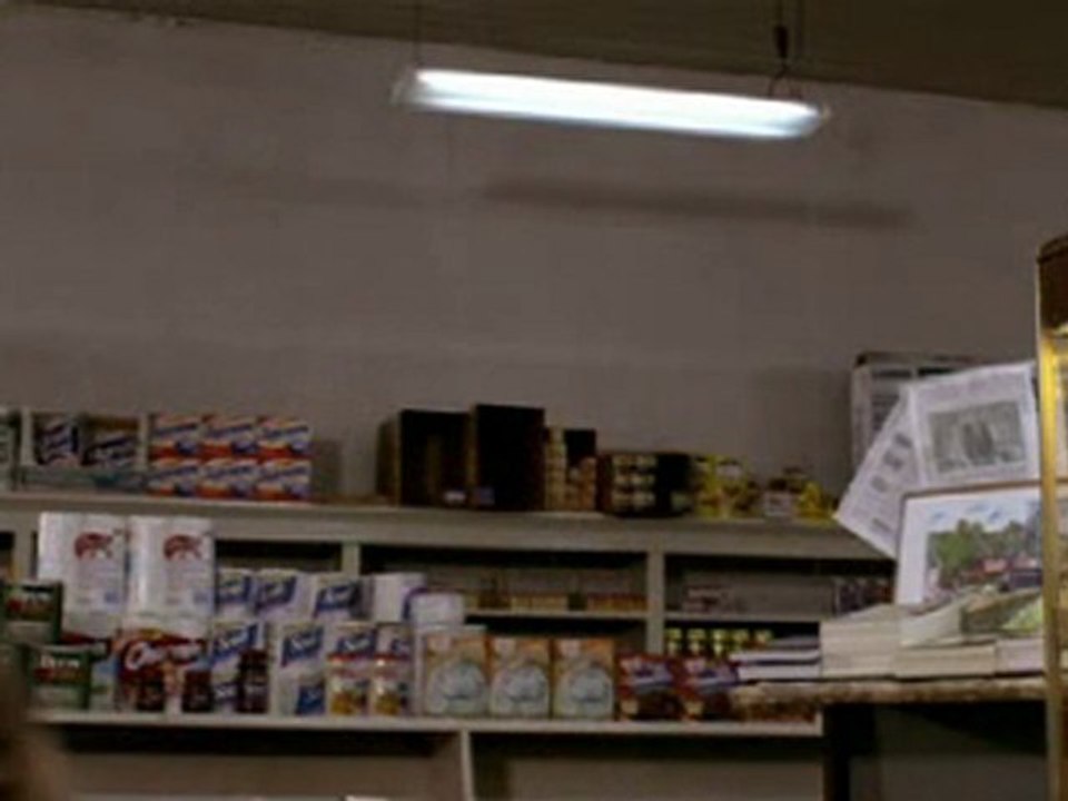 Cold Storage - Trailer