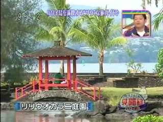 にしいろしーん　ハワイ　ハワイ島