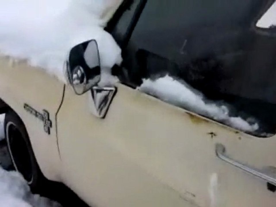 Record Texas Snowfall Feburary 2010 Part 6