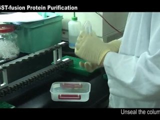 GST-fusion Protein Purification