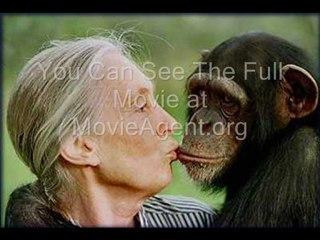 Kissing Cousins (2008) Part 1 of 15 movie watch FREE