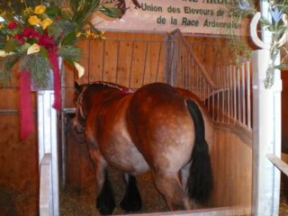 Salon agriculture 2010