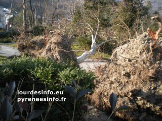 65Argelès Tempête Xynthia Parc des Thermes