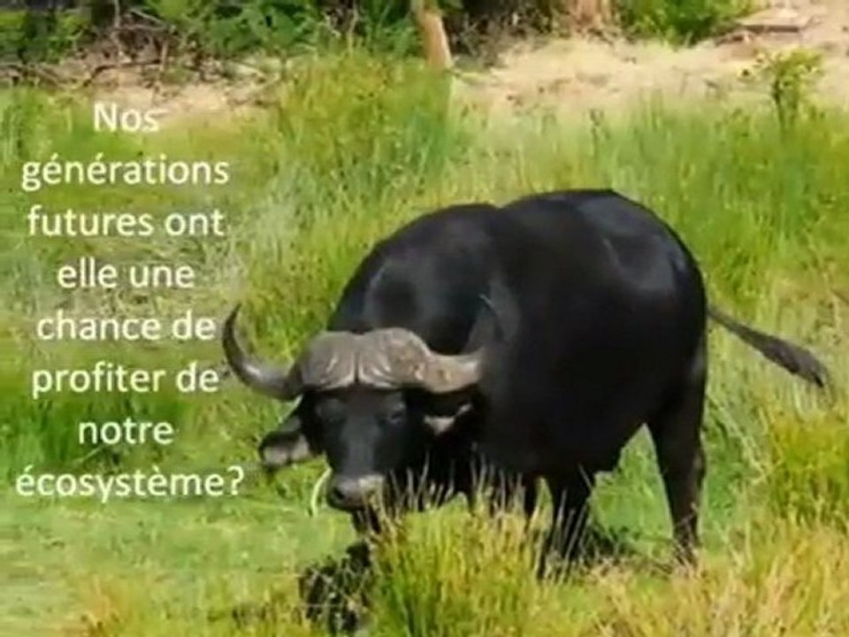 PAD-TOGO, Développement Afrique, Togo