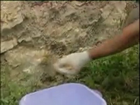 Utilisation du produit TRAITEMENT ANTI-SALPETRE