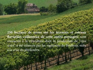 Des paysages à découvrir