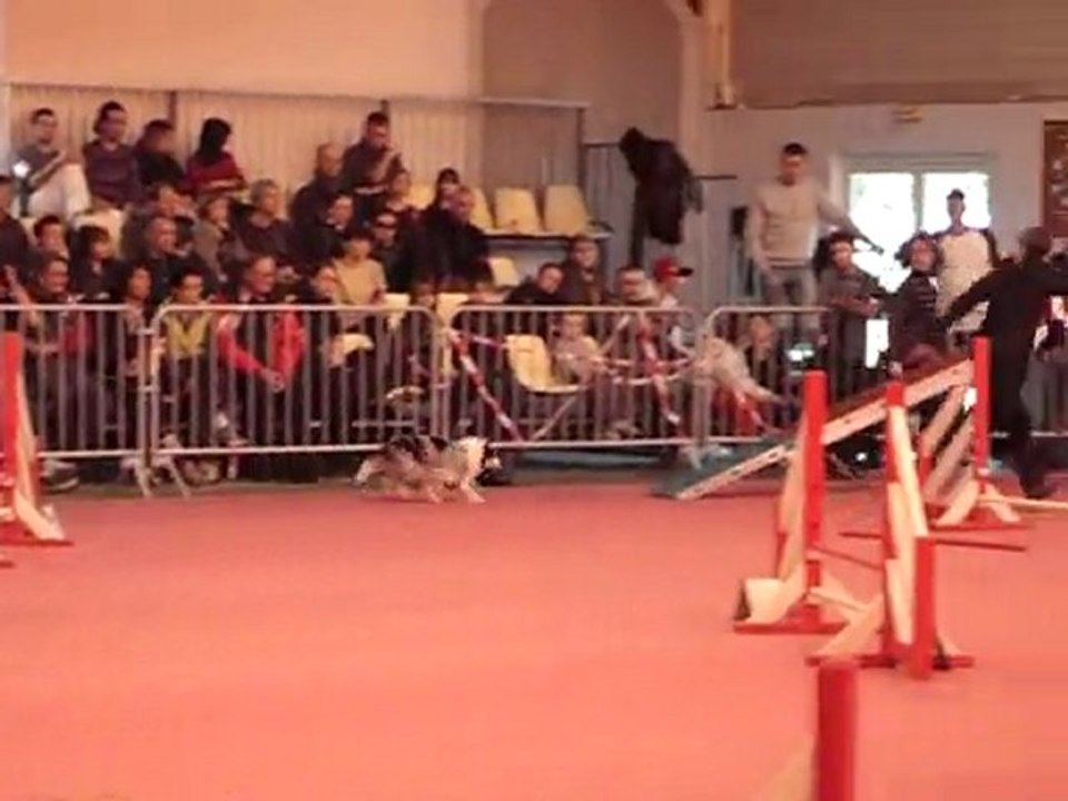verylee gpf  teyran