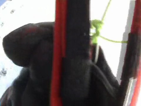 Auron speed riding 2010