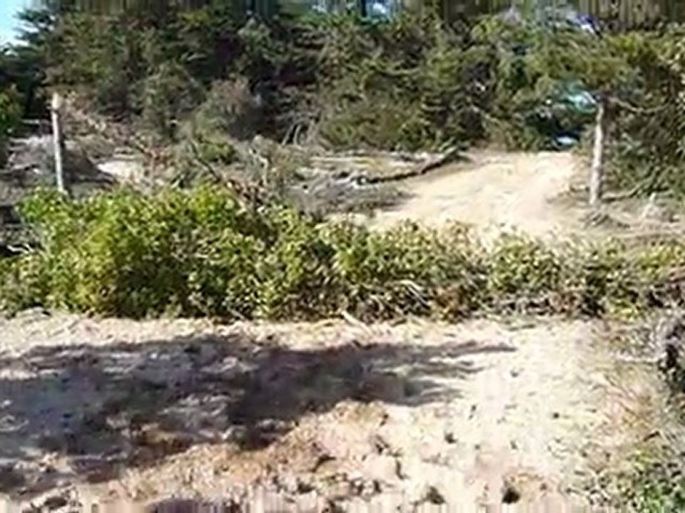 Silhouetting sur le cross en forêt