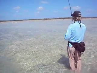 Eagle Eyes Bonefishing