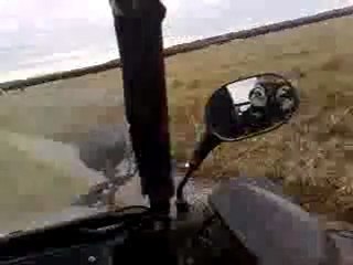 matinée buggy...