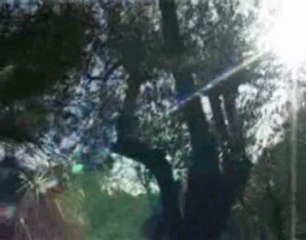 Servizio su Bocca di Magra 2/3