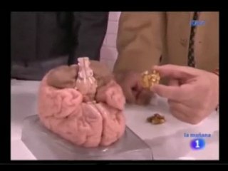 Estimulacion cognitiva: Ejercitar el cerebro