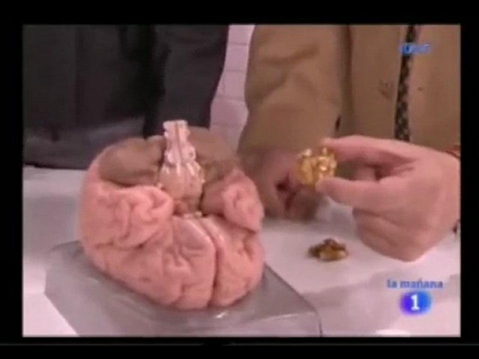 Estimulacion cognitiva: Ejercitar el cerebro