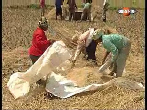 Impact CEDEAO - samedi 20 février 2010