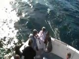 Destin Charter Boat Fishing. Deep Sea Fishing Charter Desti