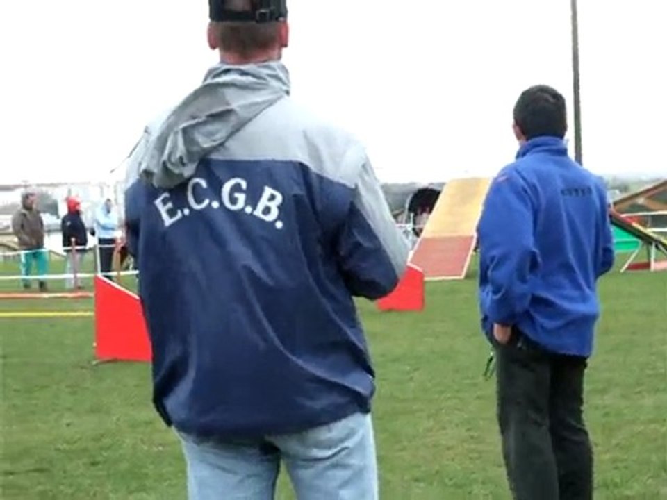 Blinnis - 1er concours - 1er degré - SAINTES - mars 2009