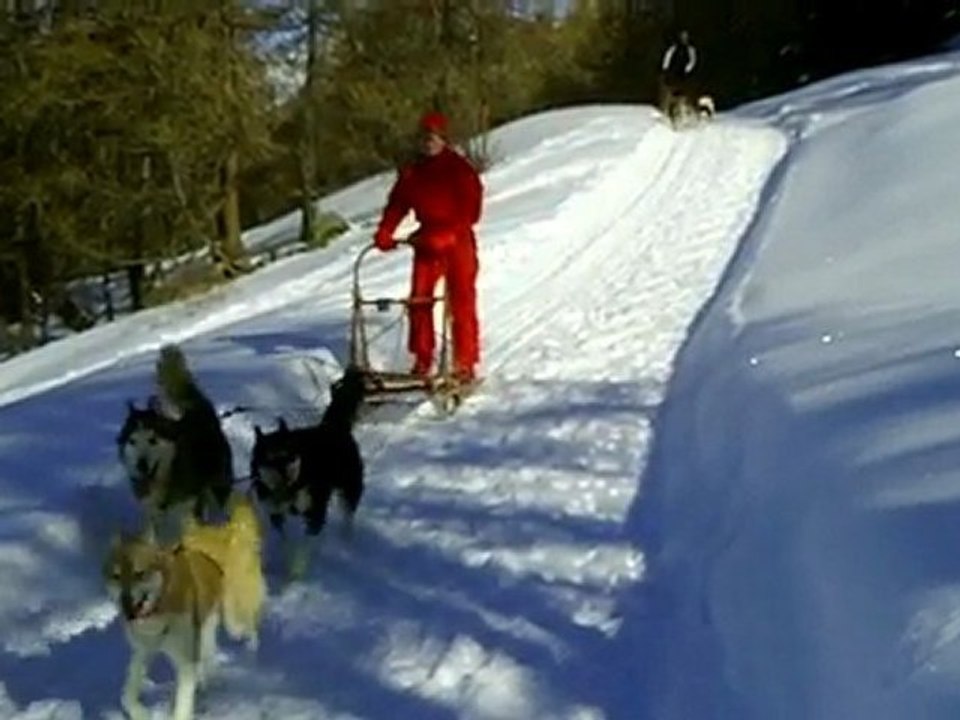 initition demi journée Traineaux sur Valloire