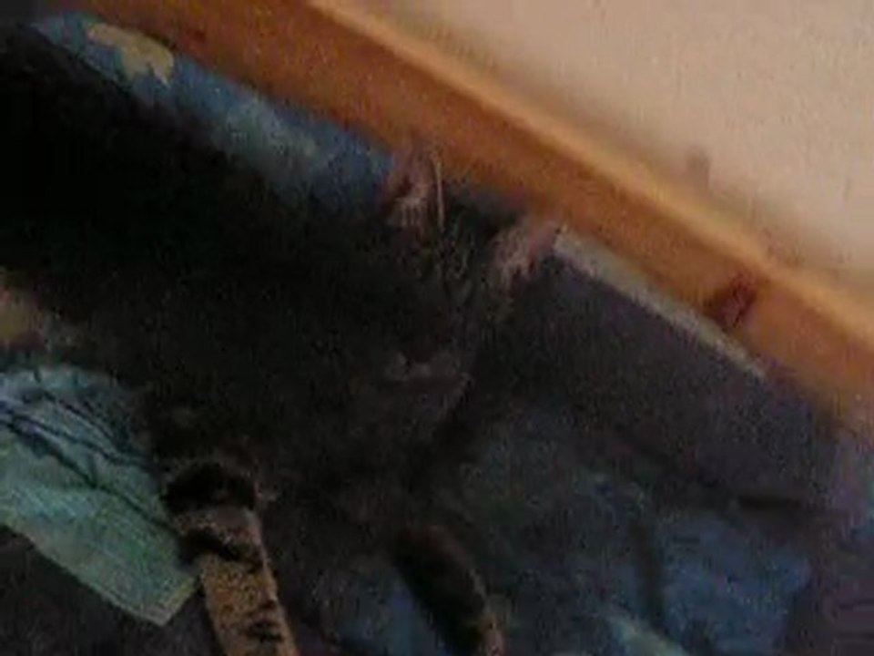 babylone