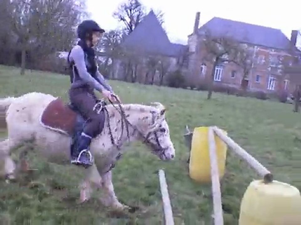 saut 95 cm avec estelle