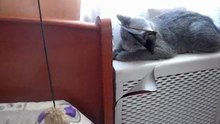 Задушевный разговор/A heart-to-heart talk