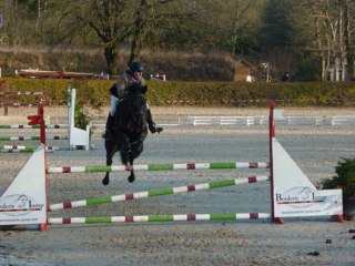 Le Mans Poney et chevaux 2010