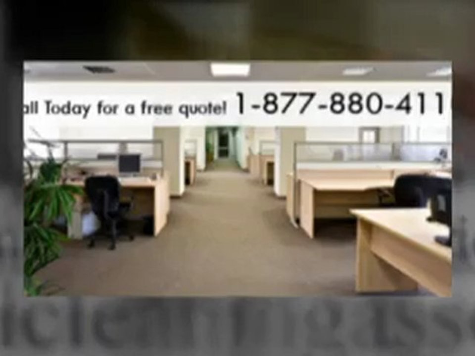 Professional Office Cleaner