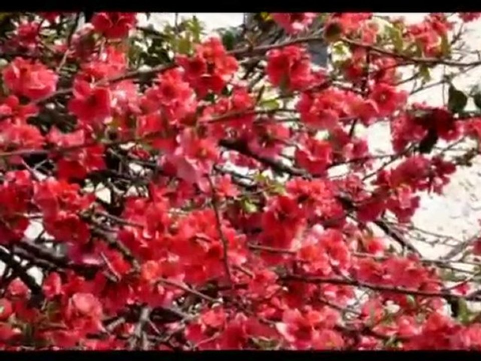 Diois 2