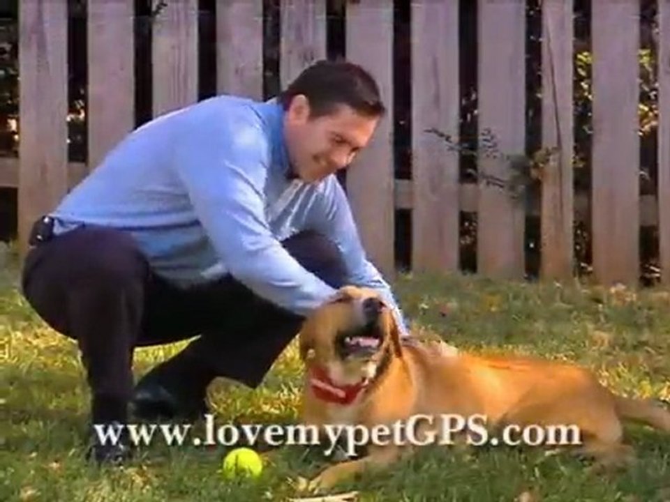 The Best GPS Dog Collar