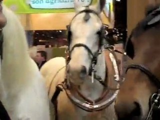 Bernard Derosier au salon de l'Agriculture