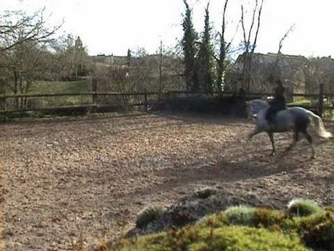 02.03.10 Maltosa pour YT enchainements pas, trot et galop