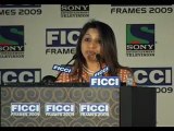 ICCI FRAMES 2009 - Return on Investments