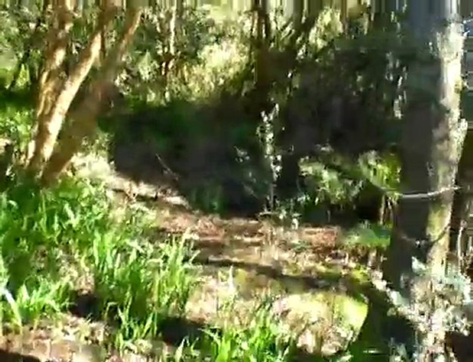 valdivia despues del sismo 2010 parte 4