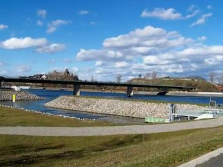 Ballade hivernale sur l'Ile du Rhin