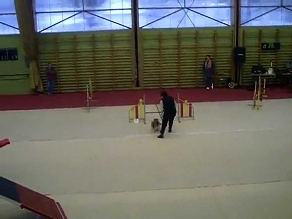 Concours agility Audun le Roman OPEN Sultane 21-02-2010