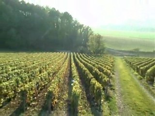 La Forêt d'Orient et la Côte des Bar