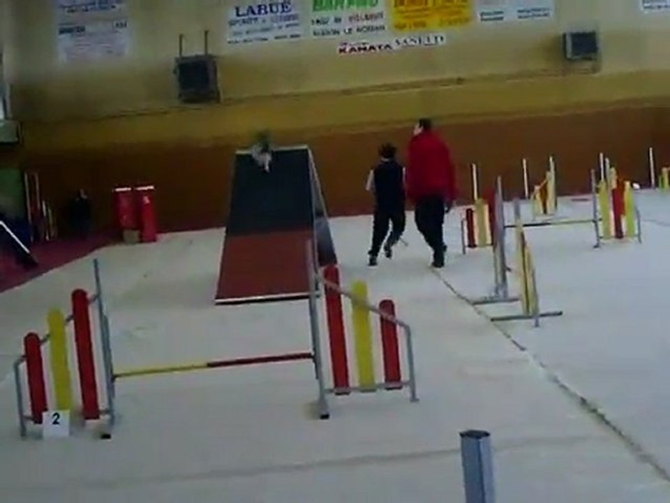 Concours agility audun le roman Degré Sultane