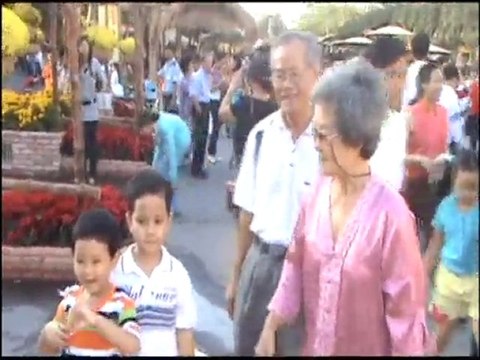 Duong hoa Nguyen Hue, Canh Dan 2010, phan3