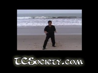 Tai Chi in Santa Monica Here!