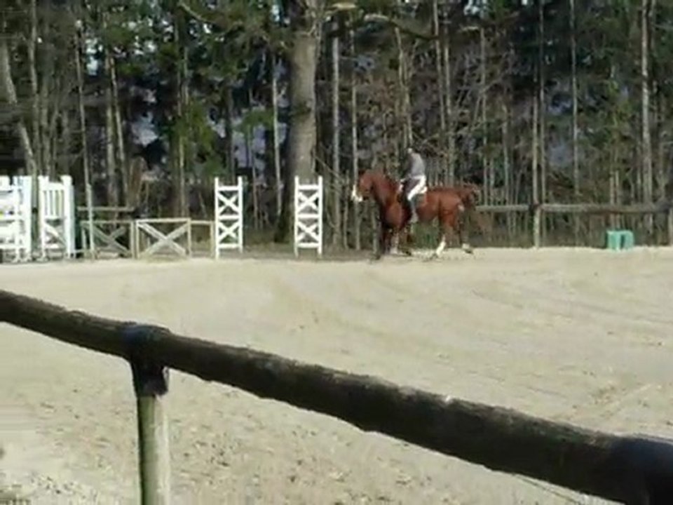 Note galop