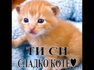 Xaris Akritidis - Oniro Mou vaniavania