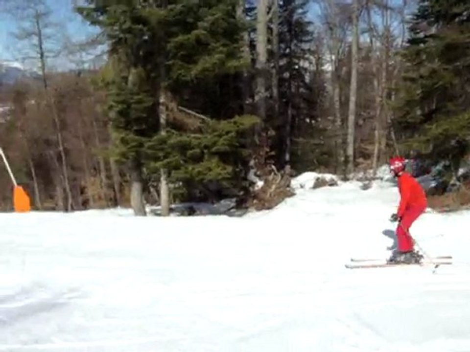 Ski